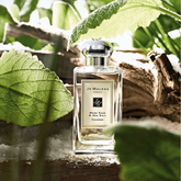 Jo Malone Wood Sage & Sea Salt Cologne